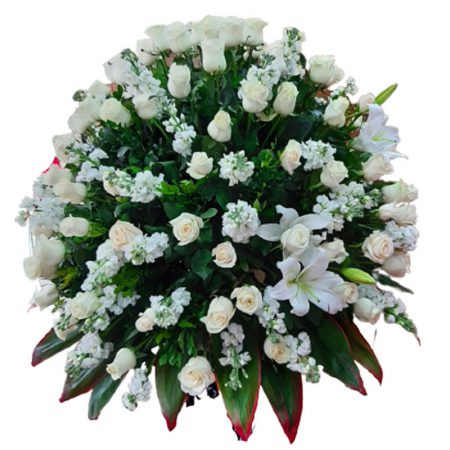 Huge deseo blanco