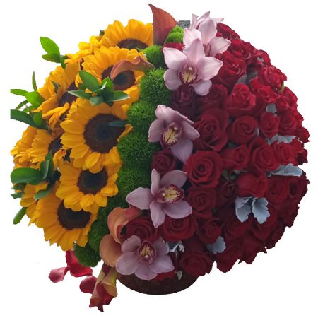 Mega arcoíris de amor premium collection