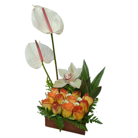 Orquídeas