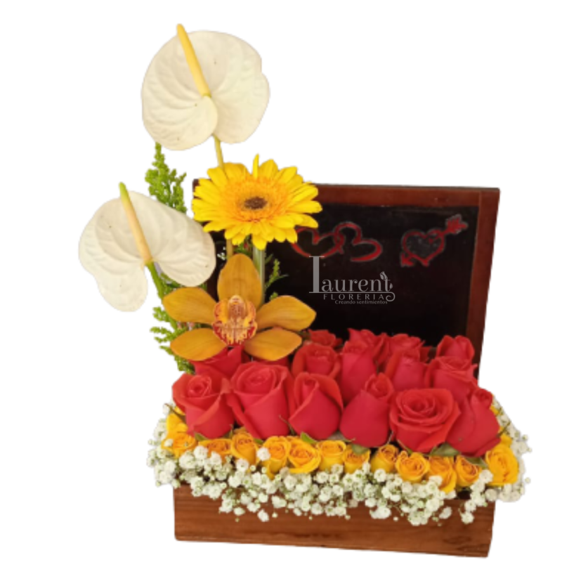 Alegria rosas y orquidea