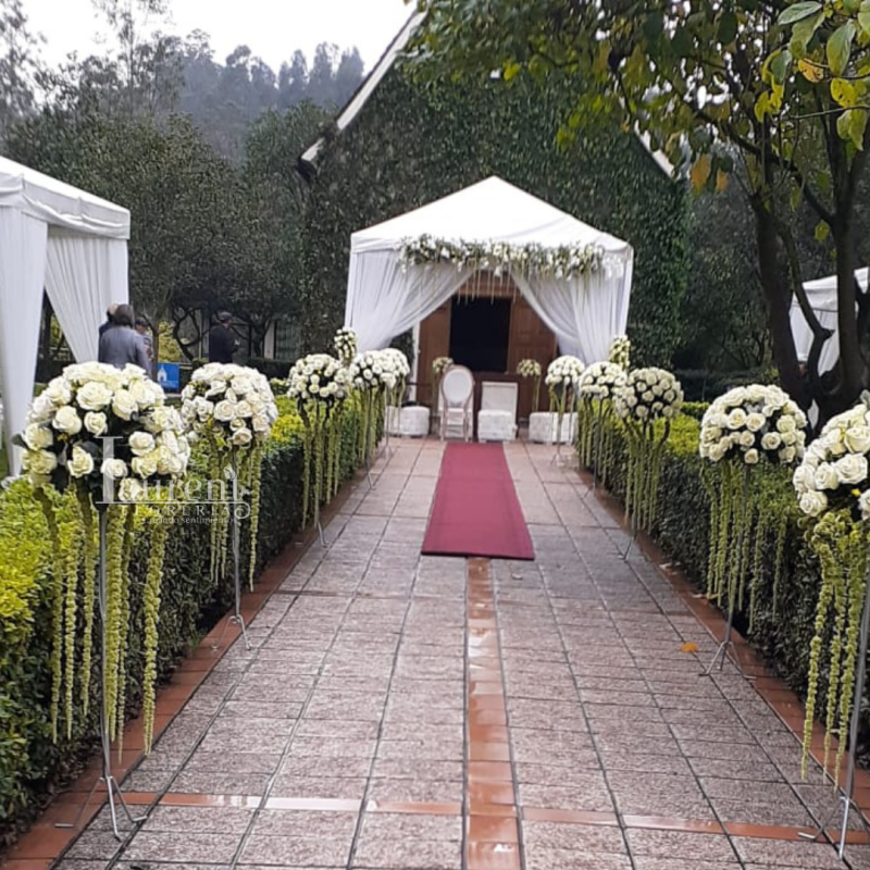 Decoración Magno