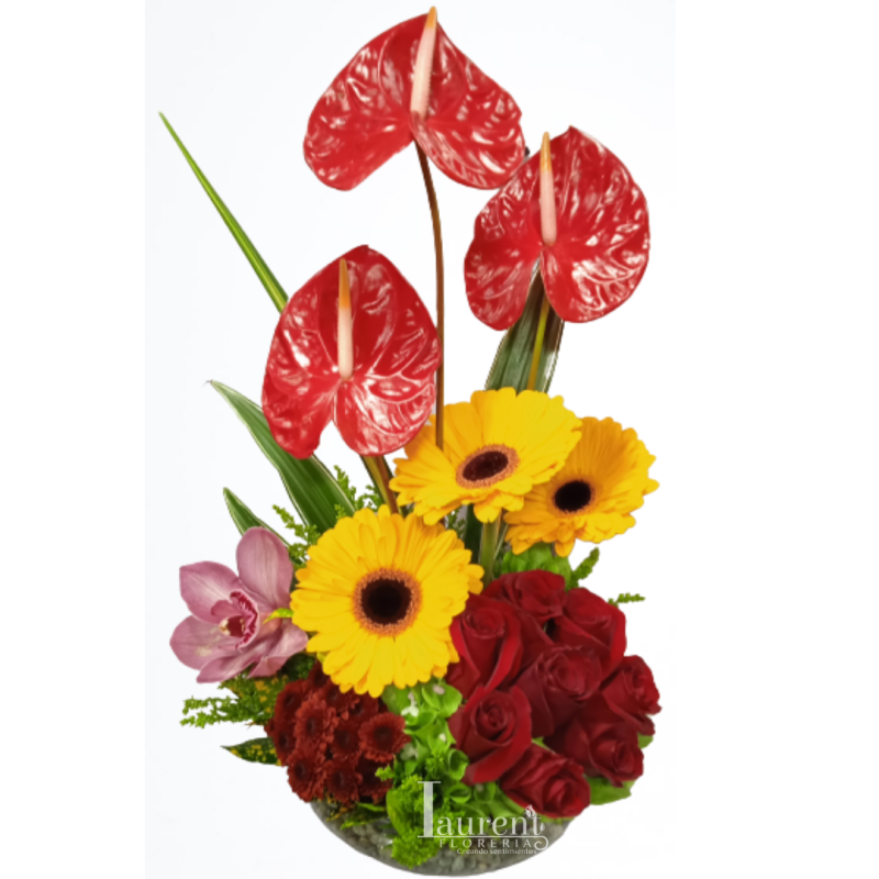 Pecera con orquidea