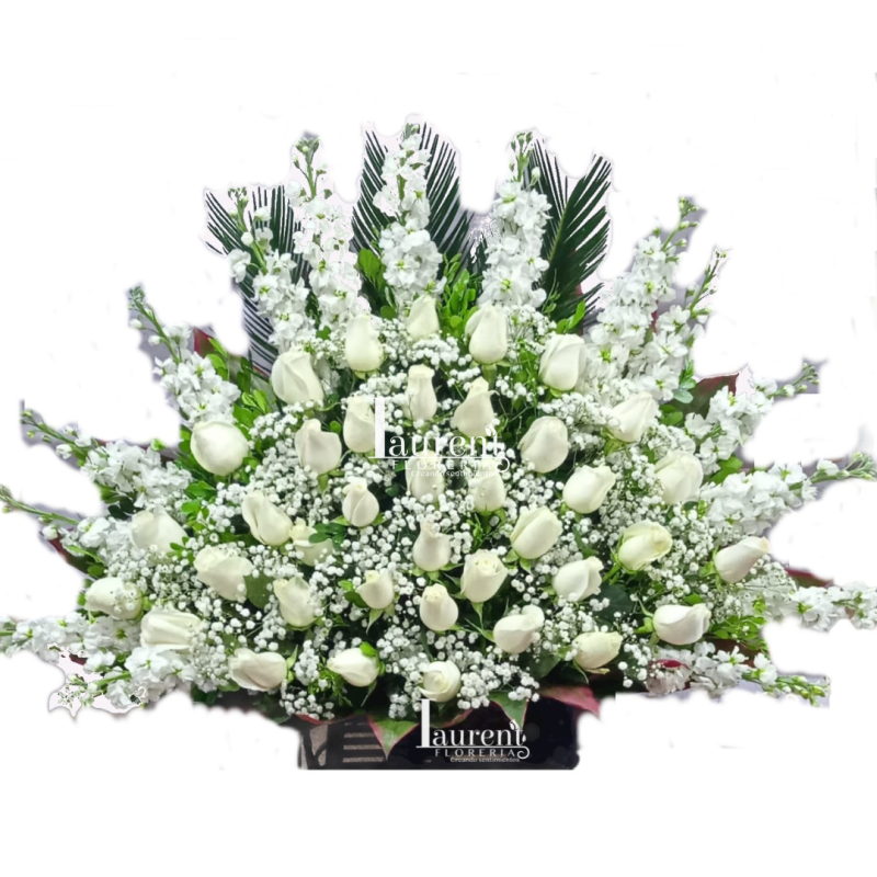 Deseo blanco