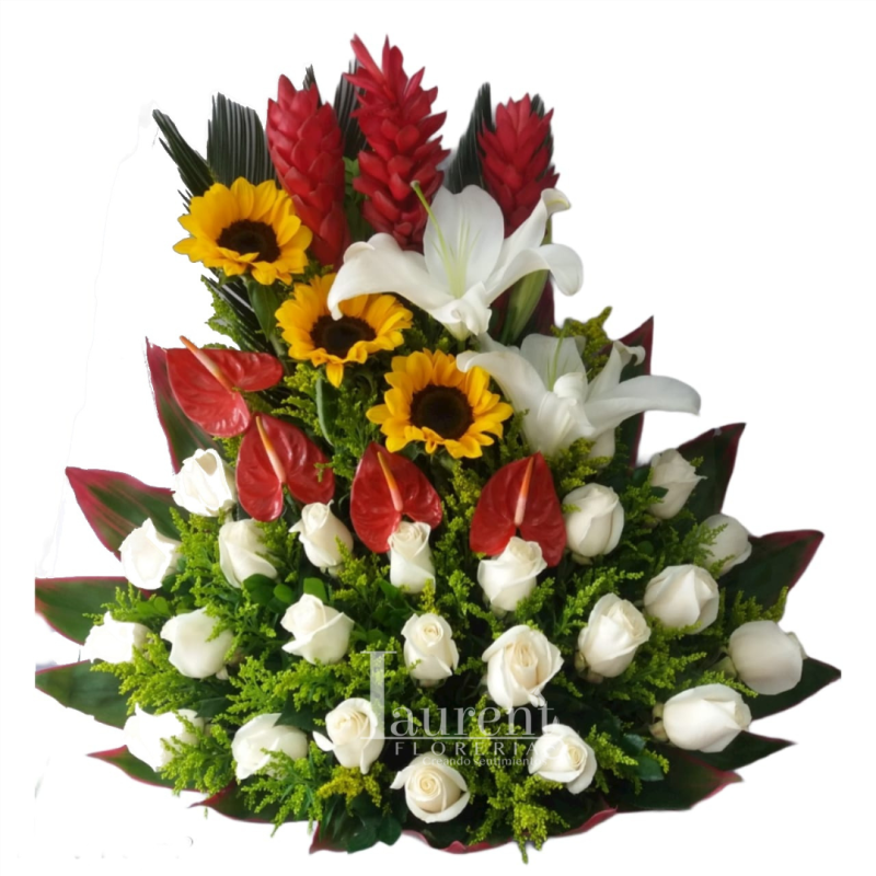 flores de loto blanca