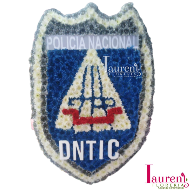 Logotipo DNTIC.P.N